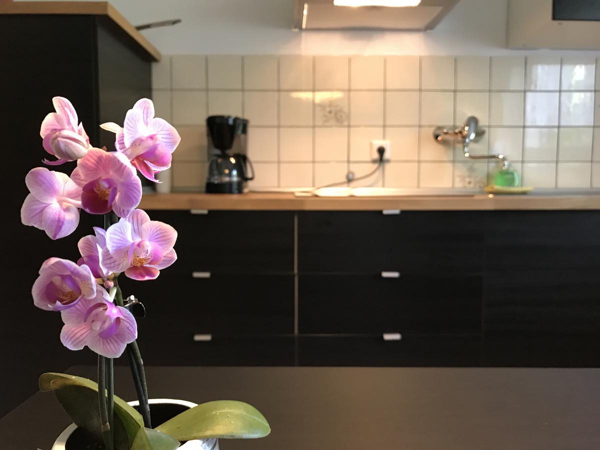 Apartmenthaus Marten دورتموند المظهر الخارجي الصورة